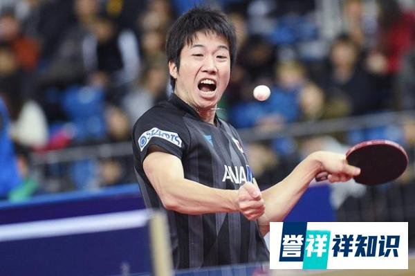 日乒公布团体第三人名单，水谷隼平野美宇入选，并给出充分理由