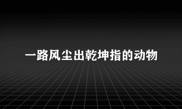 一路风尘出乾坤指的动物