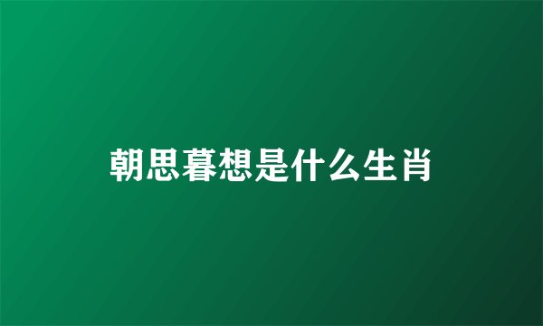 朝思暮想是什么生肖