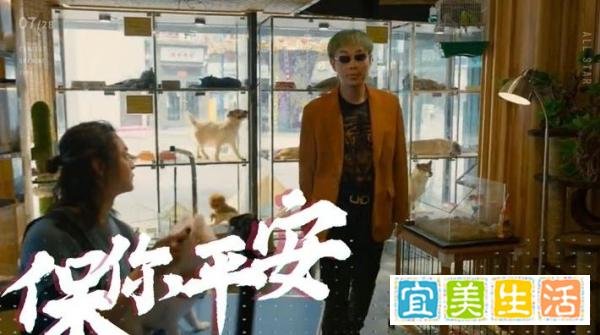 《保你平安》为什么这么火，票房更是很高，它究竟赢在了哪里呢？