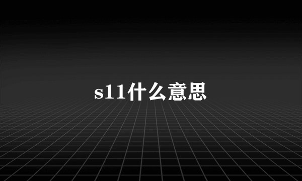 s11什么意思