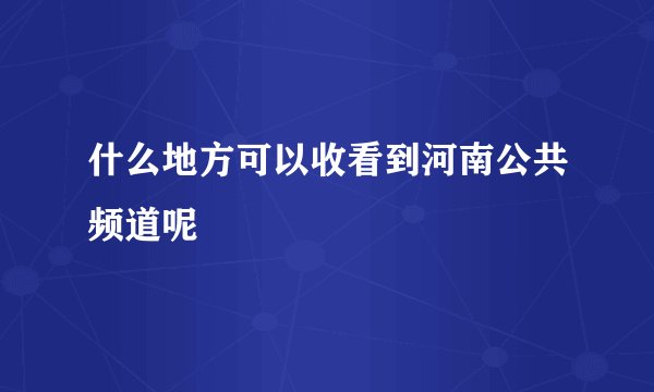 什么地方可以收看到河南公共频道呢