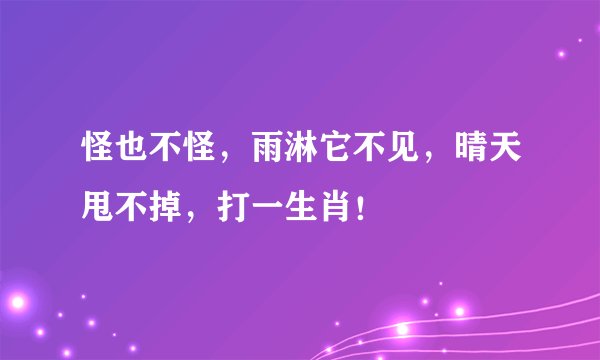 怪也不怪，雨淋它不见，晴天甩不掉，打一生肖！