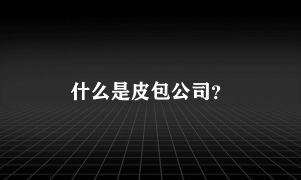 什么是皮包公司？