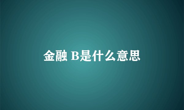 金融 B是什么意思