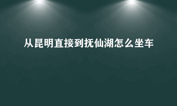 从昆明直接到抚仙湖怎么坐车
