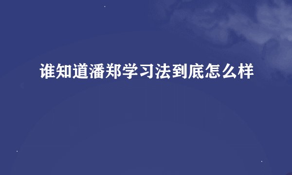谁知道潘郑学习法到底怎么样