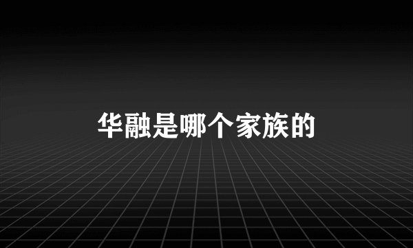 华融是哪个家族的