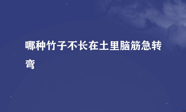 哪种竹子不长在土里脑筋急转弯