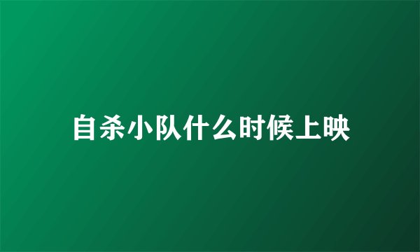 自杀小队什么时候上映