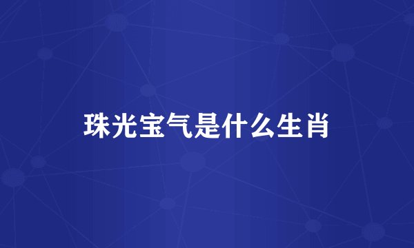 珠光宝气是什么生肖