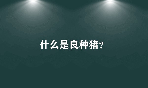 什么是良种猪？