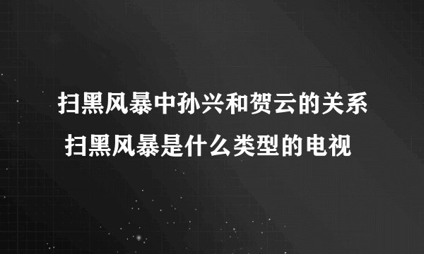扫黑风暴中孙兴和贺云的关系 扫黑风暴是什么类型的电视