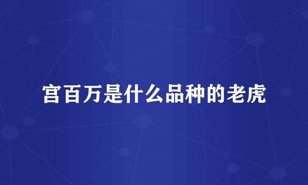 宫百万是什么品种的老虎