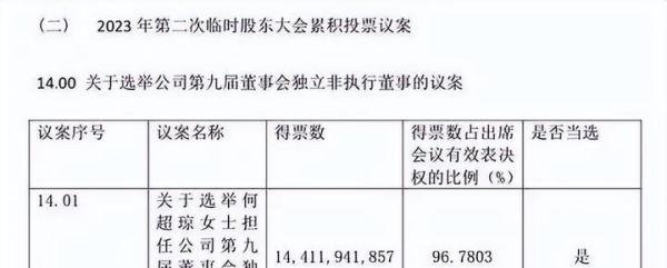 赌王之女何超琼进入南航董事会
