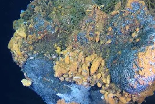 硫化物的颜色及溶解性规律