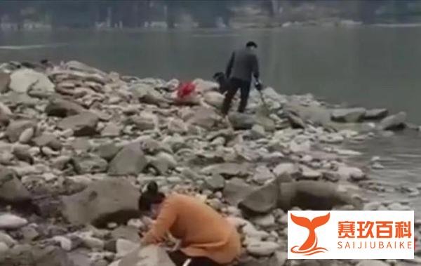 河滩惊现大量古铜钱！开元通宝卖50元一枚，文保部门介入