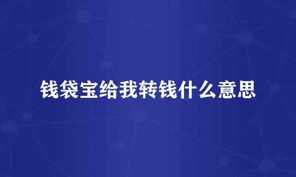 钱袋宝给我转钱什么意思