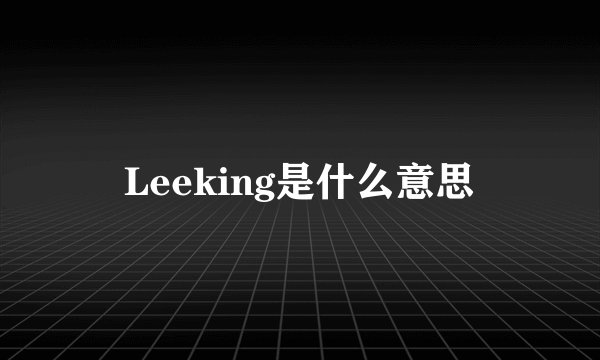 Leeking是什么意思