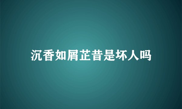 沉香如屑芷昔是坏人吗