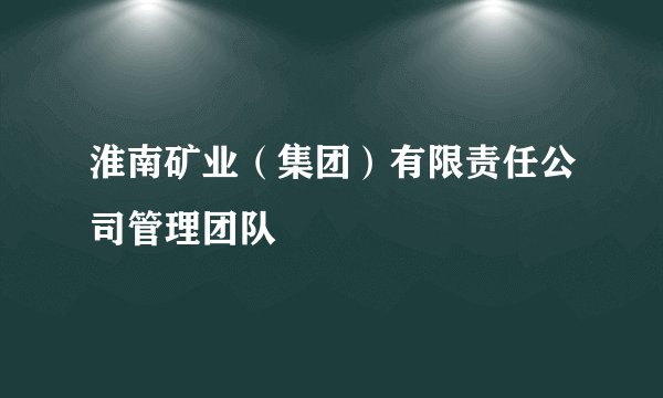 淮南矿业（集团）有限责任公司管理团队