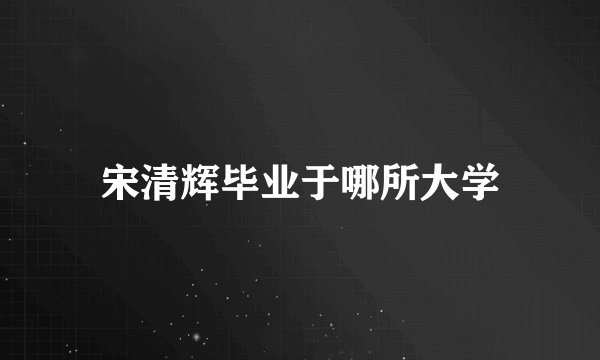 宋清辉毕业于哪所大学