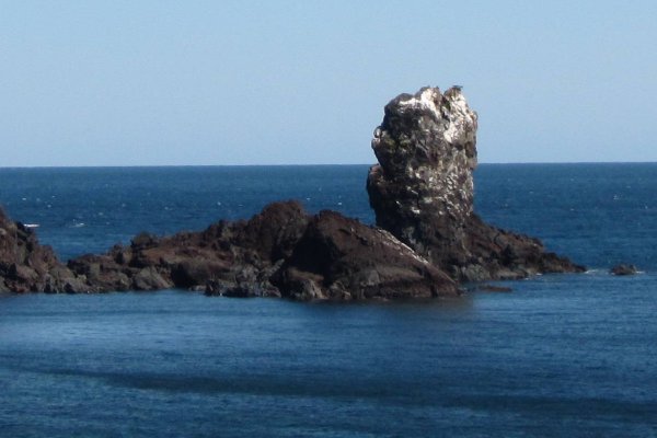 山海风波满天飞打一个生肖
