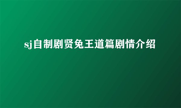 sj自制剧贤兔王道篇剧情介绍