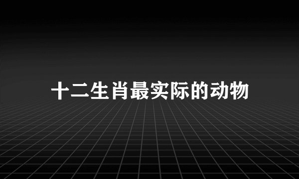 十二生肖最实际的动物
