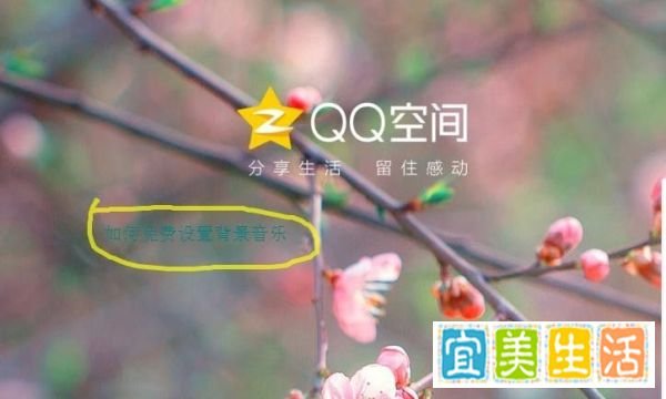 非绿钻用户如何免费设置QQ空间的背景音乐
