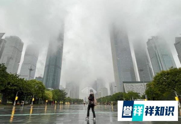 广东人成为全国最“潮”的仔