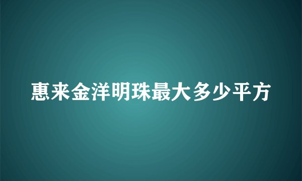 惠来金洋明珠最大多少平方