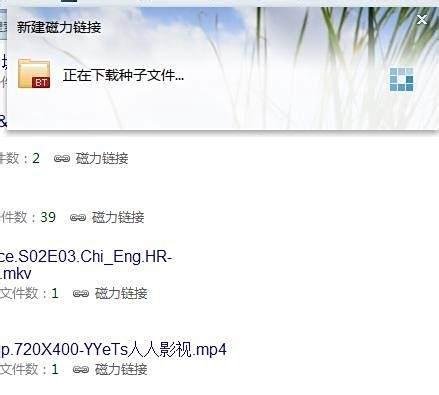 BT樱桃btcherry上的磁力链接如何转成种子储存