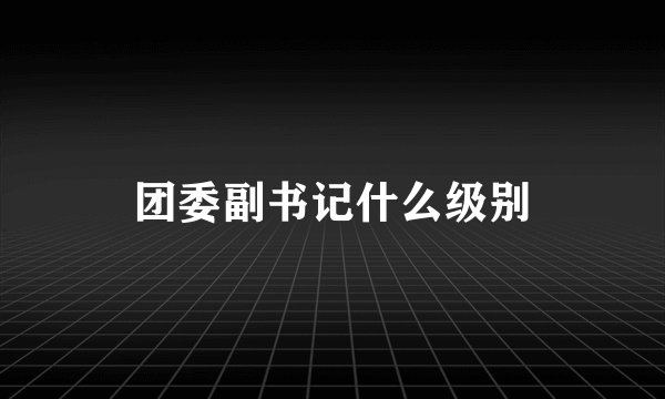团委副书记什么级别