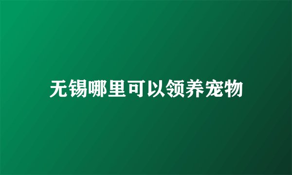 无锡哪里可以领养宠物