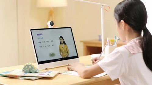 伴学模式是什么？