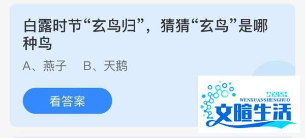 蚂蚁庄园：白露时节玄鸟归猜猜玄鸟是哪种鸟？