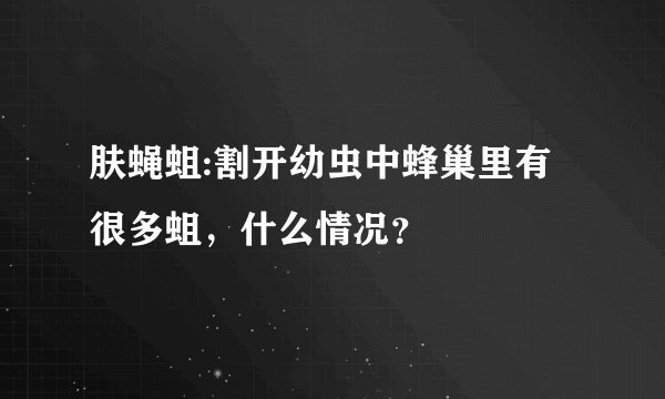肤蝇蛆:割开幼虫中蜂巢里有很多蛆，什么情况？