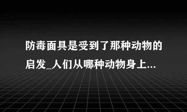 防毒面具是受到了那种动物的启发_人们从哪种动物身上得到启发发明了防毒面具
