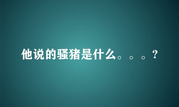 他说的骚猪是什么。。。?