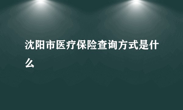 沈阳市医疗保险查询方式是什么