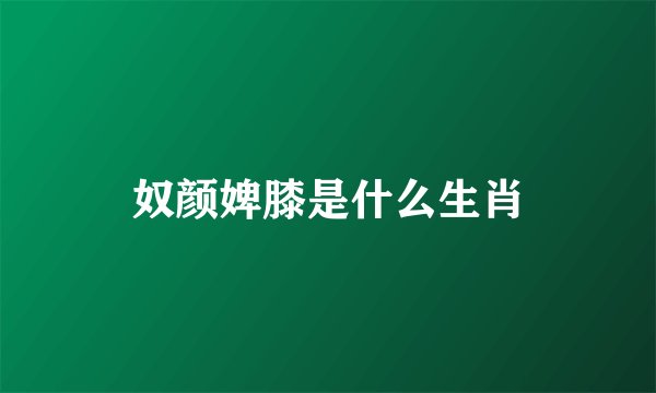 奴颜婢膝是什么生肖