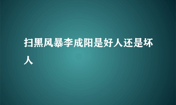 扫黑风暴李成阳是好人还是坏人
