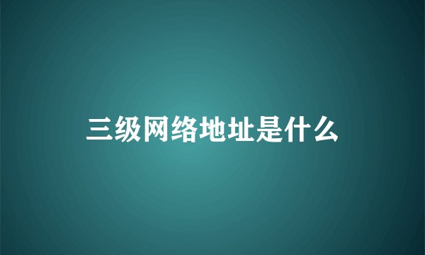 三级网络地址是什么