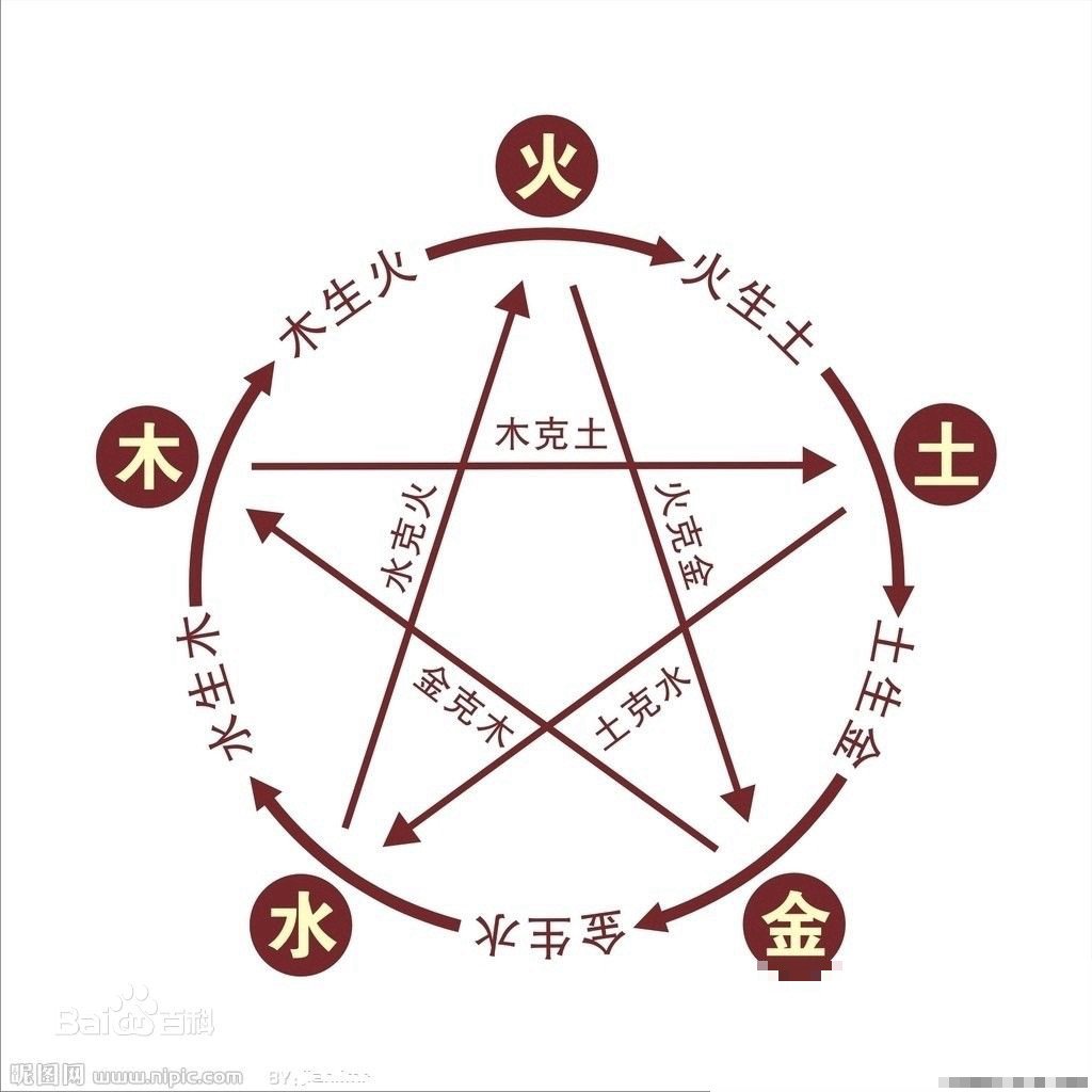 小鱼儿主页再造辉煌更新时间