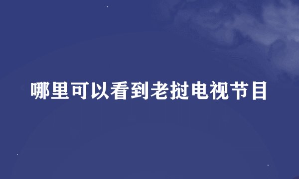 哪里可以看到老挝电视节目