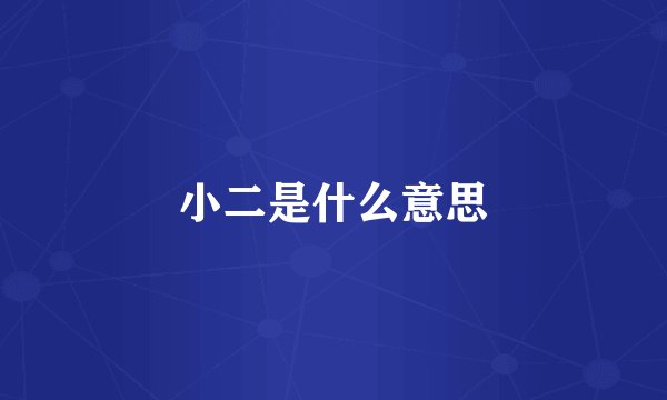 小二是什么意思