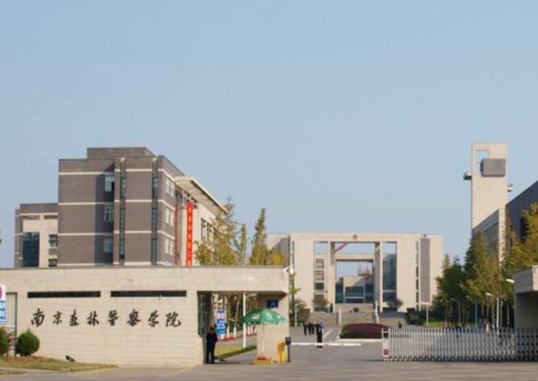 南京森林警察学院2021录取分数