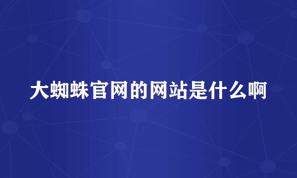 大蜘蛛官网的网站是什么啊