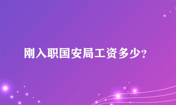 刚入职国安局工资多少？